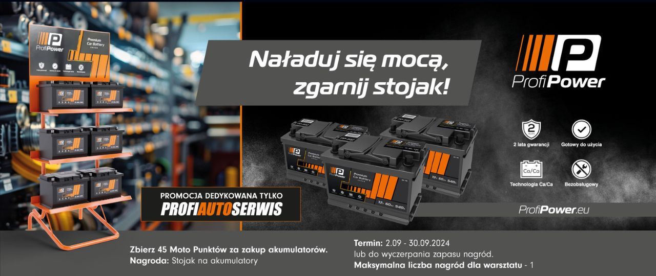 Promocja ProfiPower